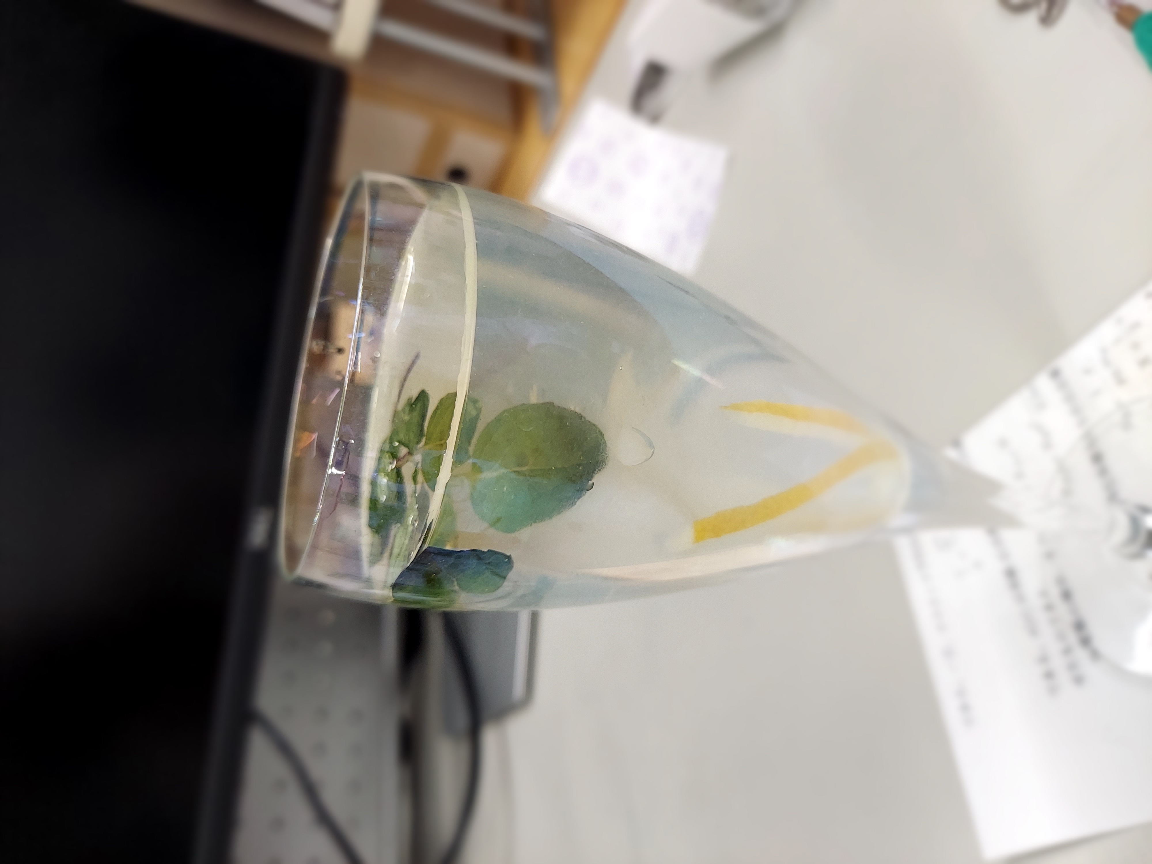 レモネード